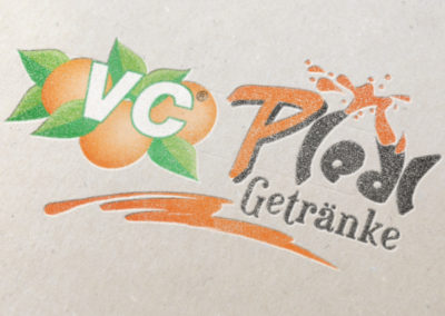 VC Pledl - Logo